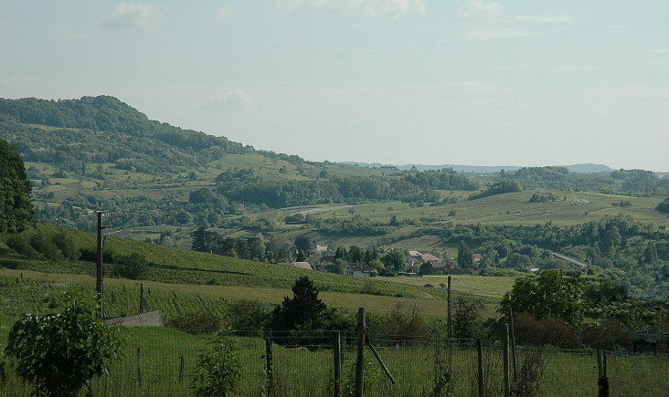 Vignoble des Côtes du Jura vers Salins-les-Bains.