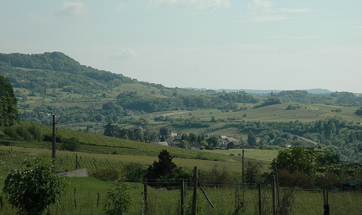 Vignoble des Côtes du Jura vers Salins-les-Bains. Vignoble des Côtes du Jura vers Salins-les-Bains.