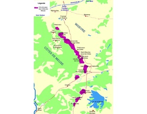 Carte des appellations viticoles des Côtes de Meuse.