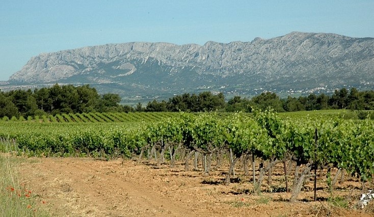 Provence - Vignobles des Côtes de Provence à Pourrières - Montagne Sainte-Victoire en fond. Provence - Vignobles des Côtes de Provence à Pourrières - Montagne Sainte-Victoire en fond.