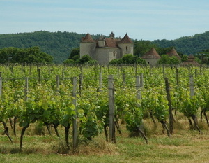 Sud-Ouest - Vignoble de Cahors - Château la Grezette.