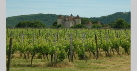 Sud-Ouest - Vignoble de Cahors - Château la Grezette.