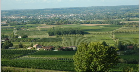 Vue du vignoble de Bergerac depuis le château de Montbazillac - © M.CRIVELLARO Vue du vignoble de Bergerac depuis le château de Montbazillac - © M.CRIVELLARO