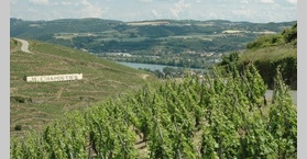 Vallée du Rhône - Vignoble de Côte-Rôtie surplombant le Rhône sur les hauteurs du village d'Ampuis.