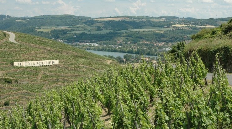 Vallée du Rhône - Vignoble de Côte-Rôtie surplombant le Rhône sur les hauteurs du village d'Ampuis. Vallée du Rhône - Vignoble de Côte-Rôtie surplombant le Rhône sur les hauteurs du village d'Ampuis.