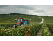 Champagne - les vendanges dans la vallée de la Marne