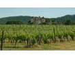 Sud-Ouest - Vignoble de Cahors - Château la Grezette.