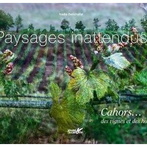 Paysages inattendus. Cahors... des vignes et des hommes - Nadia Benchallal - 2021