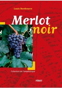 Merlot Noir - Louis Bordenave - 2016