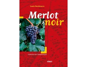 Merlot Noir - Louis Bordenave - 2016