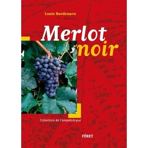 Merlot Noir - Louis Bordenave - 2016