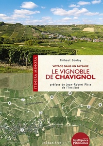 Le vignoble de Chavignol  - Voyage dans un paysage  -  Thibaut Boulay - 2017