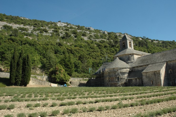 Abbaye de Sénanque dans le Lubéron- Photo Adrien CRIVELLARO