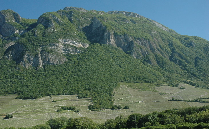 Arbin - La vigne du cru Arbin est implanté sur éboulis calcaires des falaises du Tithonique du massif des Bauges - © M.CRIVELLARO