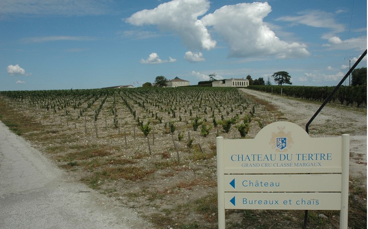 Arsac - Château du Tertre et son vignoble planté sur une croupe de grave du Médoc -  © M.CRIVELLARO