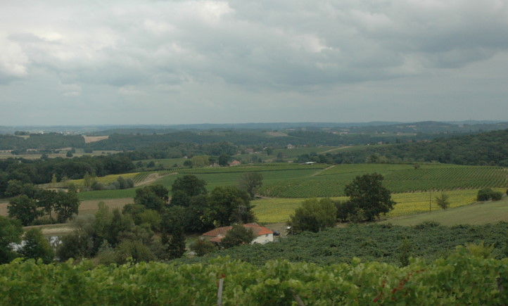 Aubous - Vue générale du paysage sur l’aire d'appellation Madiran. © Marion CRIVELLARO
