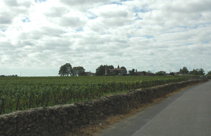 Barsac - Vignobles sur le  plateau calcaire à astéries, dit « Haut-Barsac » entouré de murets - © M.CRIVELLARO