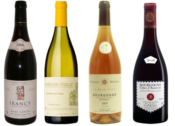 Bouteilles représentatives des vins de l'Yonne -