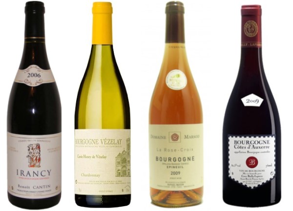 Bouteilles représentatives des vins de l'Yonne - Bouteilles représentatives des vins de l'Yonne -