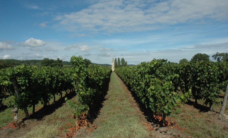 Buzet-sur-Baïse - Bourg agricole situé sur la Baïse, affluent de la rive gauche de la Garonne - © Marion CRIVELLARO