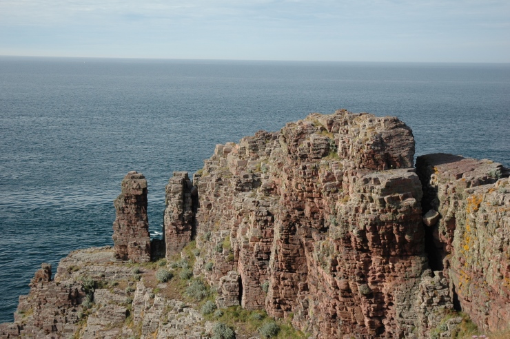 Cap-Fréhel - Côte de grés roses - 450 millions d'années - Photo Michel CRIVELLARO