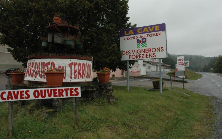 Caves des vignerons  Foreziens - © M.CRIVELLARO