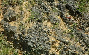 Cerdon - Mérignat - Sol marno-calcaire du Jurassique - © M.CRIVELLARO