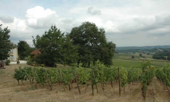 Château d'Aydie, propriété des Vignobles Laplace est situé à la sortie du village d'Aydie. © Marion CRIVELLARO