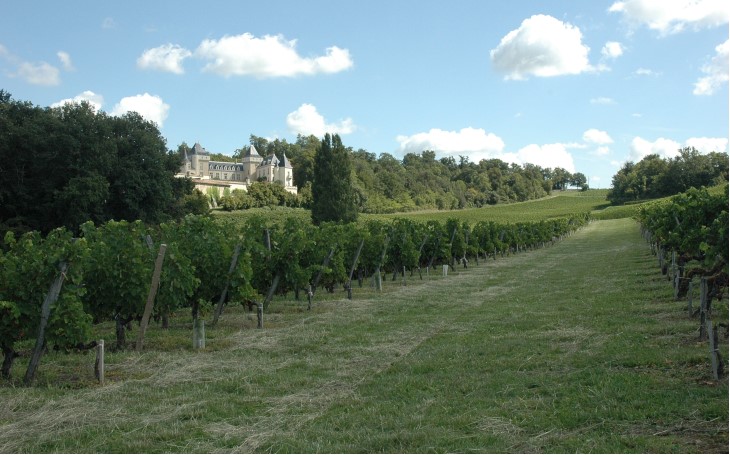 Château de La Rivière - Les vignes grimpent vers le château - © Marion CRIVELLARO