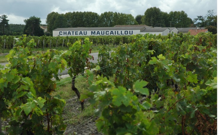 Château Maucaillou - A.O.C Moulis -  © M.CRIVELLARO