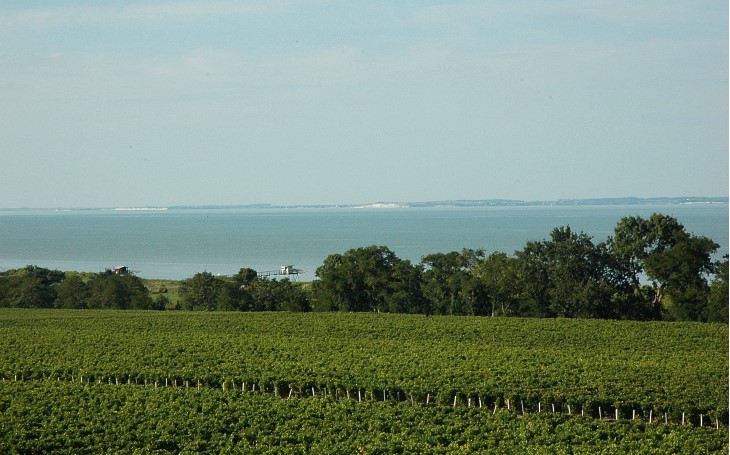 Château Tour de By - Vue imprenable sur le vignoble et l'estuaire depuis la tour - © M.CRIVELLARO Château Tour de By - Vue imprenable sur le vignoble et l'estuaire depuis la tour - © M.CRIVELLARO