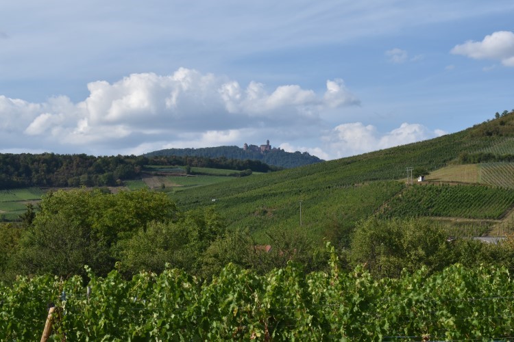 Collines 005 Collines 005