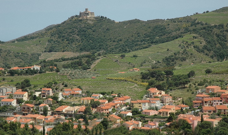Collioure - Village, vignoble et château - © M.CRIVELLARO
