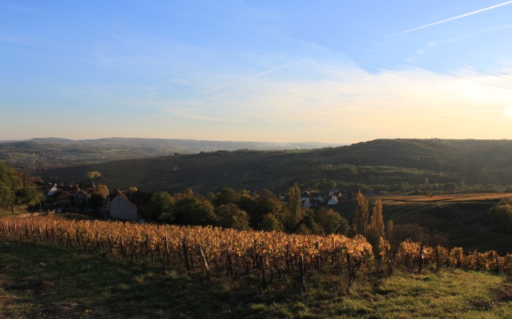 Coteaux bouguignons soir - © Adrien CRIVELLARO