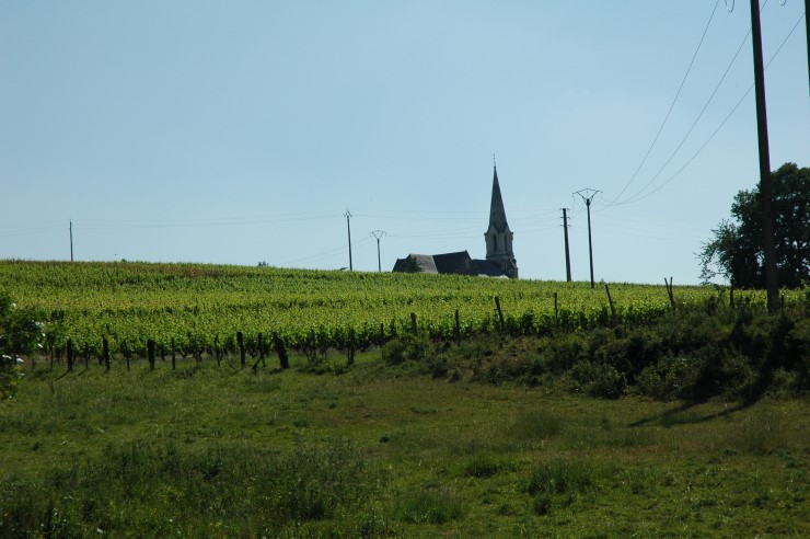 Coteaux d'Ancenis - Village de Drain - © M.CRIVELLARO