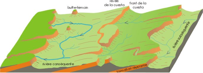 Coupe schématique de trois cuestas   (D’après le livre de François Michel: "Le tour de France d'un géologue") -  © M.CRIVELLARO