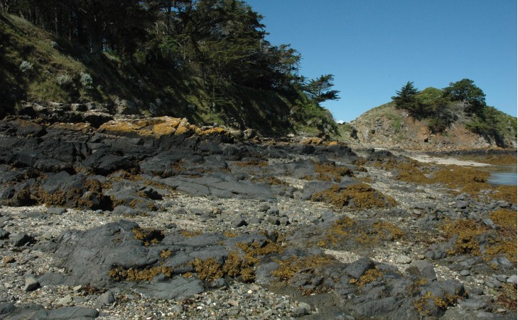 Erquy - Pointe de la Heussaye - Laves de l'ancien volcan. © M.CRIVELLARO