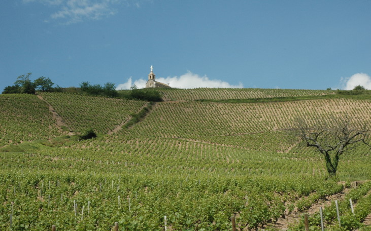 Fleurie - Vignes et chapelle de la Madone - © M.CRIVELLARO