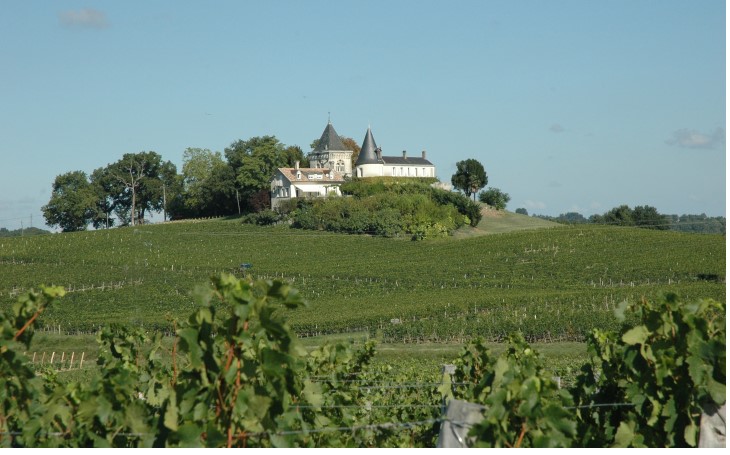 Fronsac - Depuis le Chemin de Richelieu, le Château Lagüe face au tertre de Fronsac - © Marion CRIVELLARO