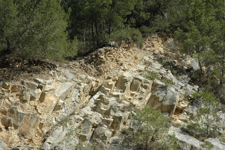 Gigondas - Sol argilo-calcaire Végétation pins et garrigue - Roche mère calcaire - © M.CRIVELLARO