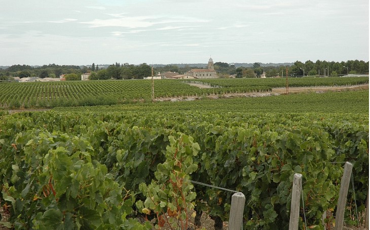Grand-Poujeaux - Vue du du vignoble de Moulis du haut de la croupe de Château Chasse-Spleen. Au loin l'église d'Arcins -  © M.CRIVELLARO