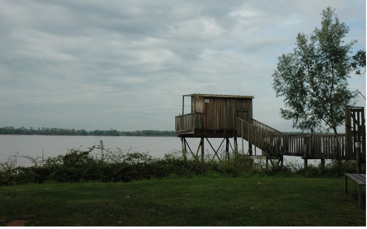 La Reuille.  - En bordure de Gironde, un carrelet ou petite cabane en bois sur pilotis destinée à la pêche au carrelet -  © M.CRIVELLARO