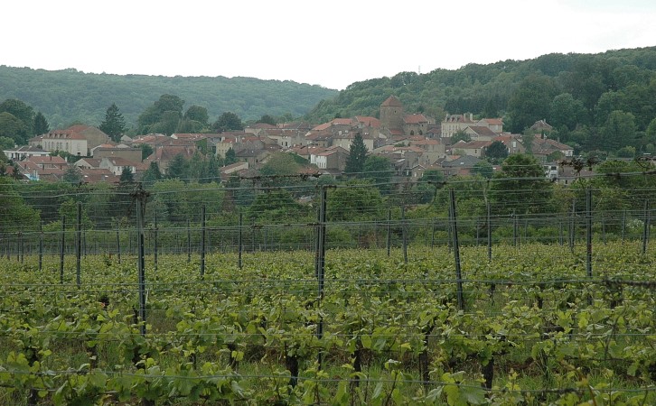 Lessy - Route de Scy, les vignes au dessus du village de Lessy -  © M.CRIVELLARO