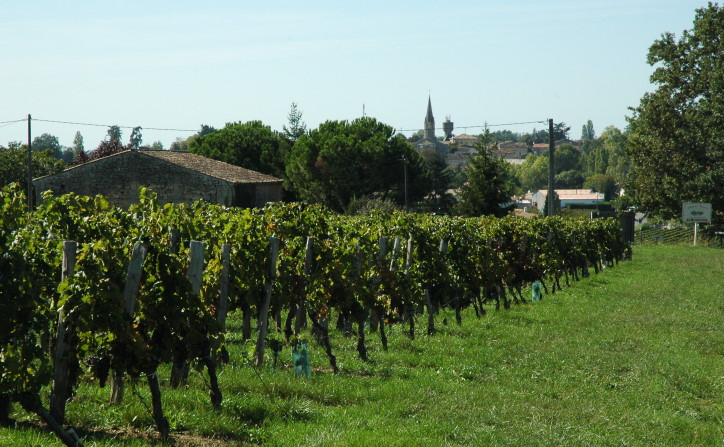 Lussac Saint-Emilion -  A l'entrée du village - © M.CRIVELLARO