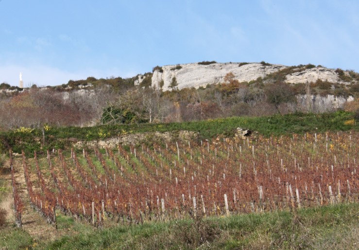 Maranges - Barrière calcaire et vignobles - © Adrien CRIVELLARO