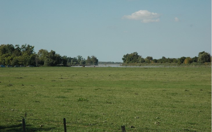 Margaux - Zone humide de prairies, de pâturages en bordure de l'estuaire au bas du terroir de château Margaux -  © M.CRIVELLARO