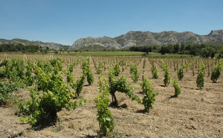 Massif des Alpilles. Photo Adrien CRIVELLARO