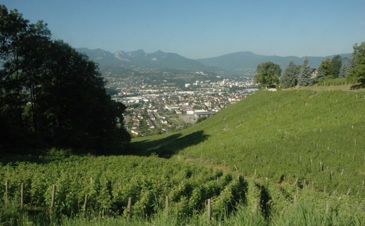 Monterminod - Les vignes de Monterminod AOC Roussette de Savoie Monterminod surplombent la ville de Chambéry - © M.CRIVELLARO