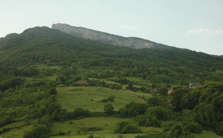 Monterminod -Les vignes de Monterminod sous la falaise calcaire urgonienne de la montagne du Nivolet (Massif des Bauges) - © M.CRIVELLARO