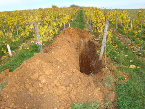 Photo Domaine Coirier - Fosse pédologique - Fiefs Vendéens Pissotte -  